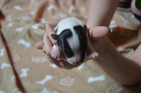 CLEOPATRA - ...wo wir gerade von NASEN sprechen... ;-)